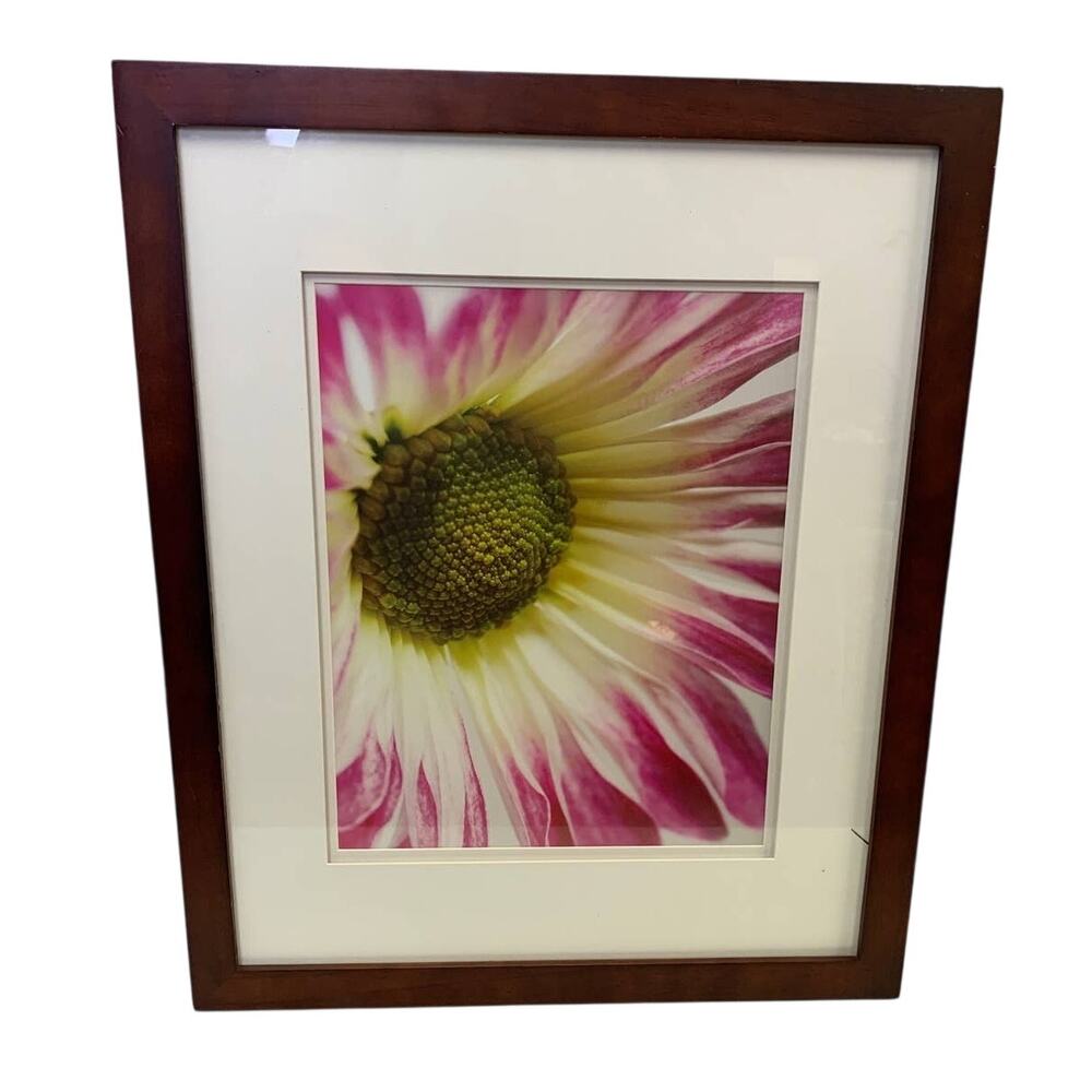 Framed Matted Pink Yellow Daisy 22" by 18" Glass Wooden Framed Artwork Wall Art